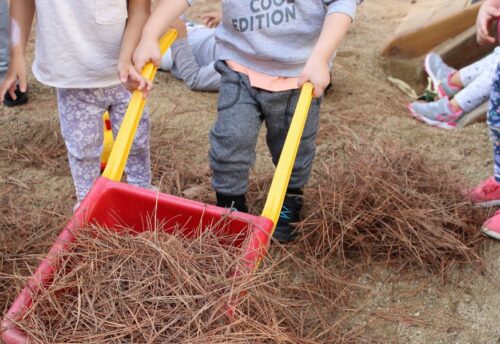 El jardí de l'escola bressol, espai educatiu